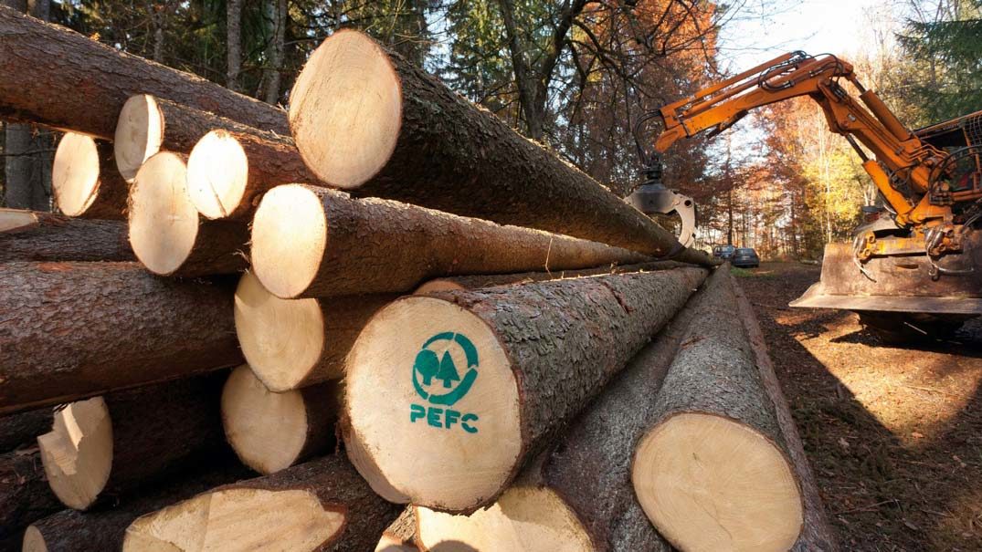 PEFC zertifiziertes Holz