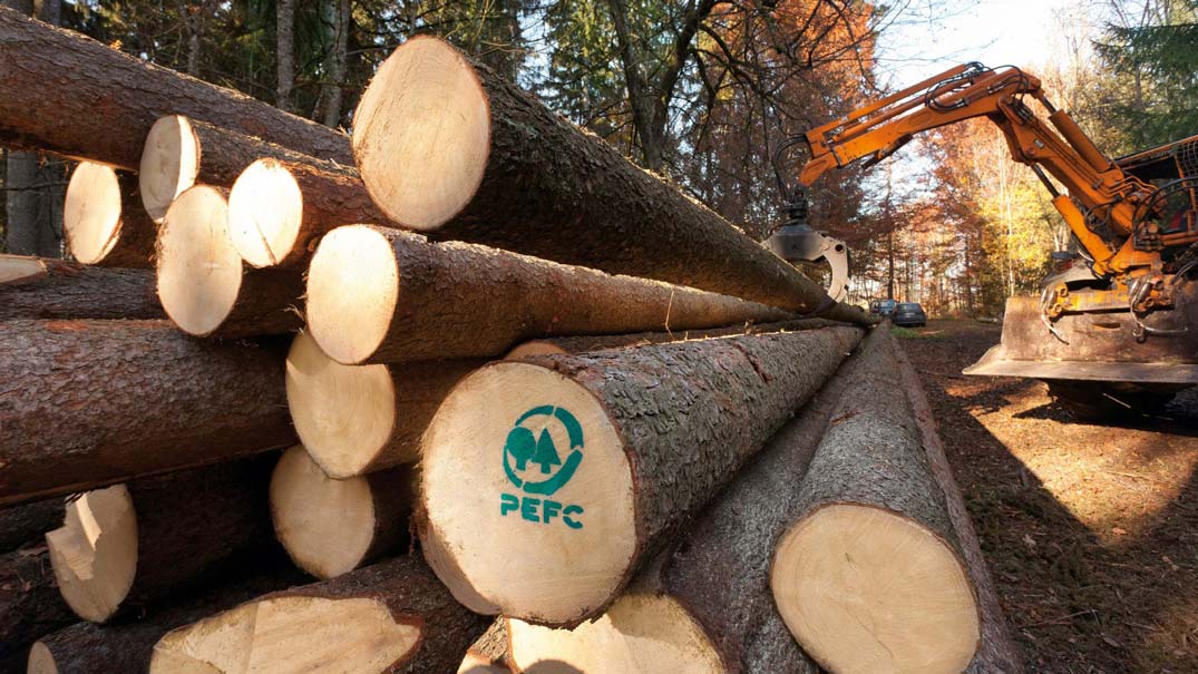 PEFC zertifiziertes Holz